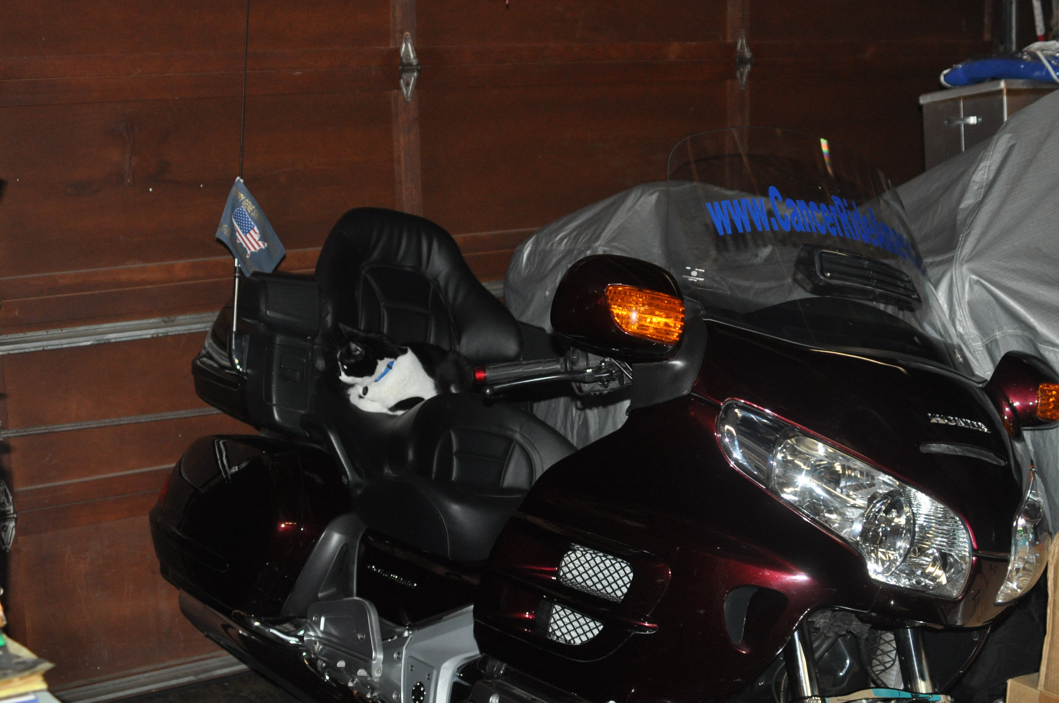 Buddy_013_02